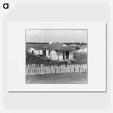 Cabin of sugarcane workers - Dorothea Lange Poster.