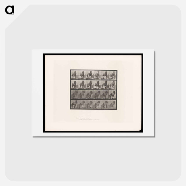 アートポストカード-Horse in Motion
 - エドワード マイブリッジ Postcard.