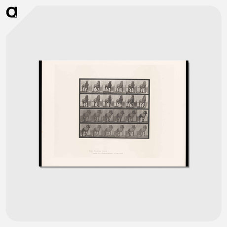 アートポストカード-Horse in Motion
 - エドワード マイブリッジ Postcard.