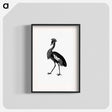 アートポスター-Crowned Crane from Adventures in the Far Interior of South Africa
 - 大英図書館 Poster.