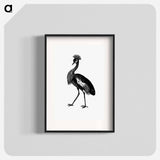 アートポスター-Crowned Crane from Adventures in the Far Interior of South Africa
 - 大英図書館 Poster.