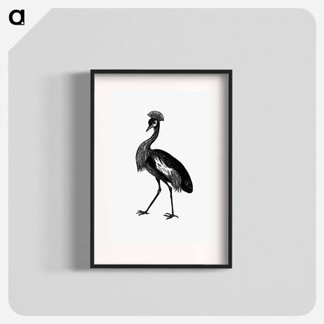アートポスター-Crowned Crane from Adventures in the Far Interior of South Africa
 - 大英図書館 Poster.