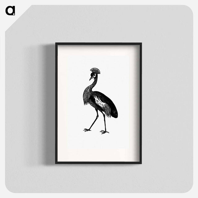 アートポスター-Crowned Crane from Adventures in the Far Interior of South Africa
 - 大英図書館 Poster.