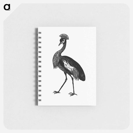 アートメモ帳-Crowned Crane from Adventures in the Far Interior of South Africa
 - 大英図書館 Memo.