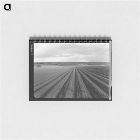 アートメモ帳-Untitled photo - ドロテア ラング Memo.