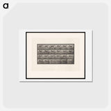 アートポストカード-Running Buck
 - エドワード マイブリッジ Postcard.