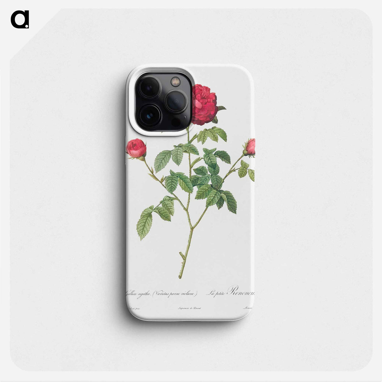 Purple Agatha - ピエール ジョゼフ ルドゥーテ Phone Case.