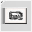 アートポスター-Arabian Horse
 - 大英図書館 Poster.