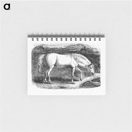 アートメモ帳-Arabian Horse
 - 大英図書館 Memo.