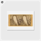 アートポストカード-Hole in the Wall
 - エドワード マイブリッジ Postcard.