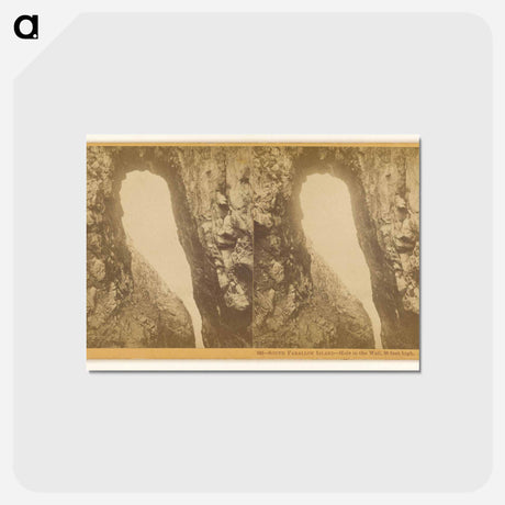 アートポストカード-Hole in the Wall
 - エドワード マイブリッジ Postcard.