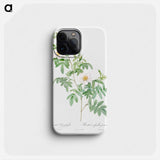 Clinophylla - ピエール ジョゼフ ルドゥーテ Phone Case.