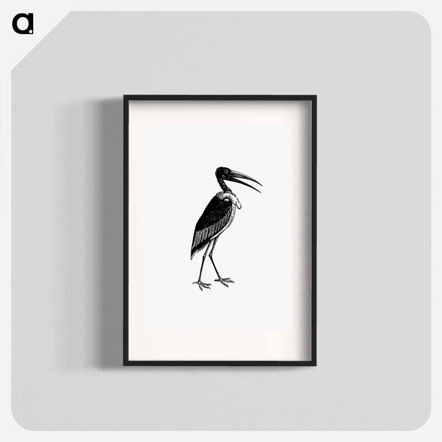 アートポスター-Greater Adjutant
 - 大英図書館 Poster.
