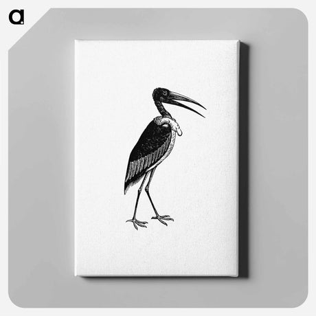 アートパネル-Greater Adjutant
 - 大英図書館 Canvas.