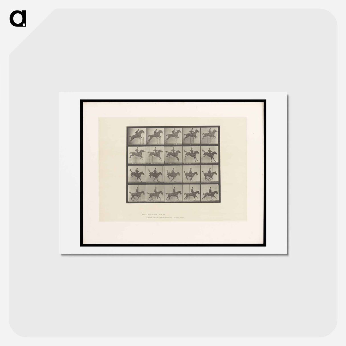 アートポストカード-Jumping the Hurdle
 - エドワード マイブリッジ Postcard.