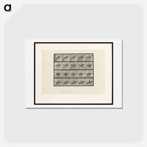 アートポストカード-Jumping the Hurdle
 - エドワード マイブリッジ Postcard.