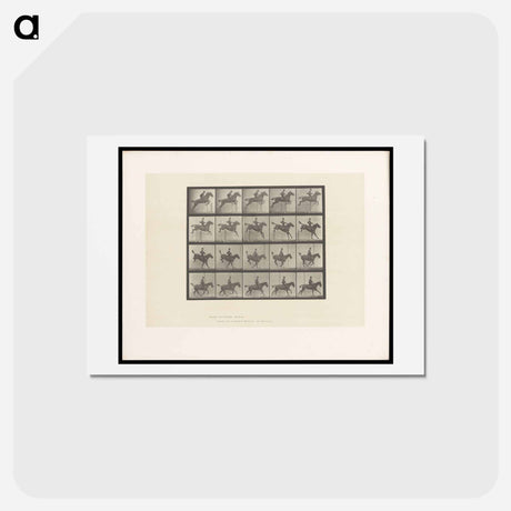 アートポストカード-Jumping the Hurdle
 - エドワード マイブリッジ Postcard.