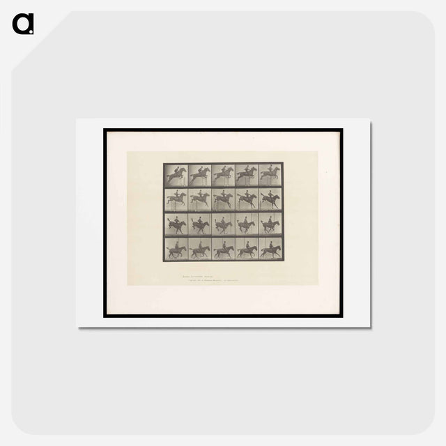 アートポストカード-Jumping the Hurdle
 - エドワード マイブリッジ Postcard.