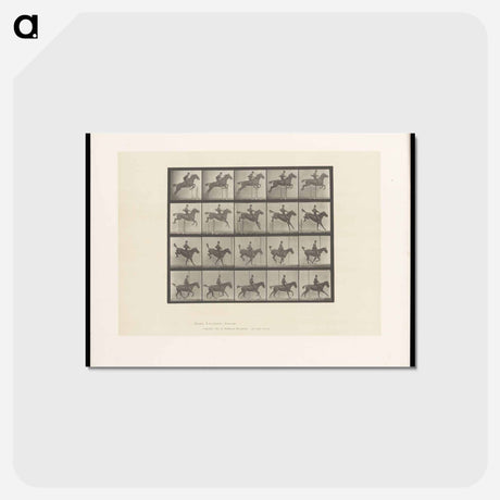 アートポストカード-Jumping the Hurdle
 - エドワード マイブリッジ Postcard.
