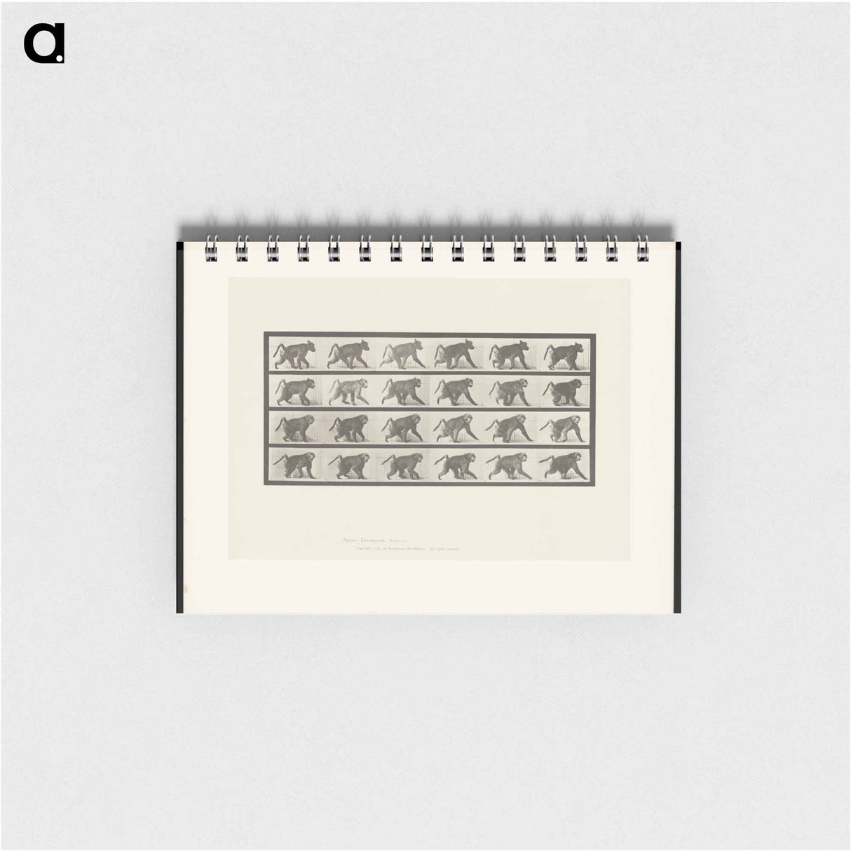アートメモ帳-Baboon Walking
 - エドワード マイブリッジ Memo.