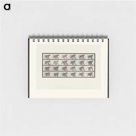 アートメモ帳-Baboon Walking
 - エドワード マイブリッジ Memo.