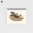 アートメモ帳-Red-necked Rail
 - オーストラリアの鳥 Memo.