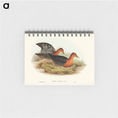アートメモ帳-Red-necked Rail
 - オーストラリアの鳥 Memo.