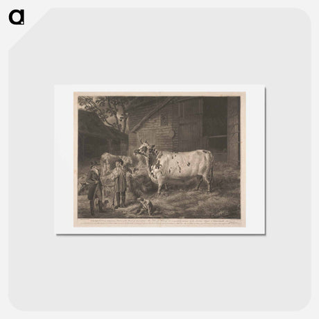 アートポストカード-Improved British Cattle: Holderness Cow
 - イェール大学アートギャラリー Postcard.