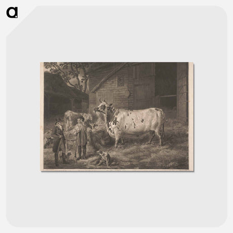 アートポストカード-Improved British Cattle: Holderness Cow
 - イェール大学アートギャラリー Postcard.