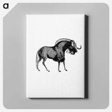アートパネル-Wildebeest
 - 大英図書館 Canvas.