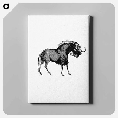アートパネル-Wildebeest
 - 大英図書館 Canvas.