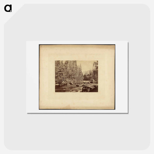 アートポストカード-Yo-Sem-I-Te Valley, California
 - エドワード マイブリッジ Postcard.