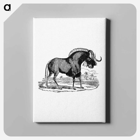 アートパネル-Wildebeest
 - 大英図書館 Canvas.