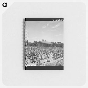 アートメモ帳-Untitled photo - ドロテア ラング Memo.