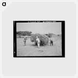 アートポストカード-Loading Pea Vines
 - ラッセル リー Postcard.
