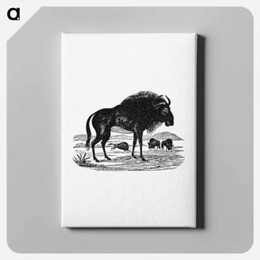 アートパネル-Wildebeest
 - 大英図書館 Canvas.