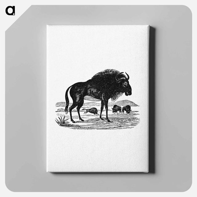 アートパネル-Wildebeest
 - 大英図書館 Canvas.