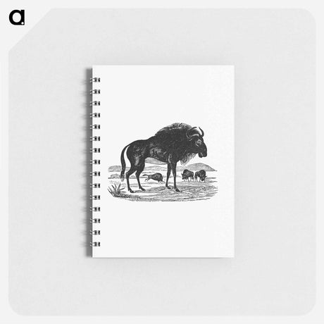 アートメモ帳-Wildebeest
 - 大英図書館 Memo.