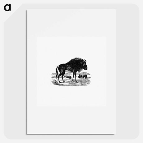 アートポスター-Wildebeest
 - 大英図書館 Poster.