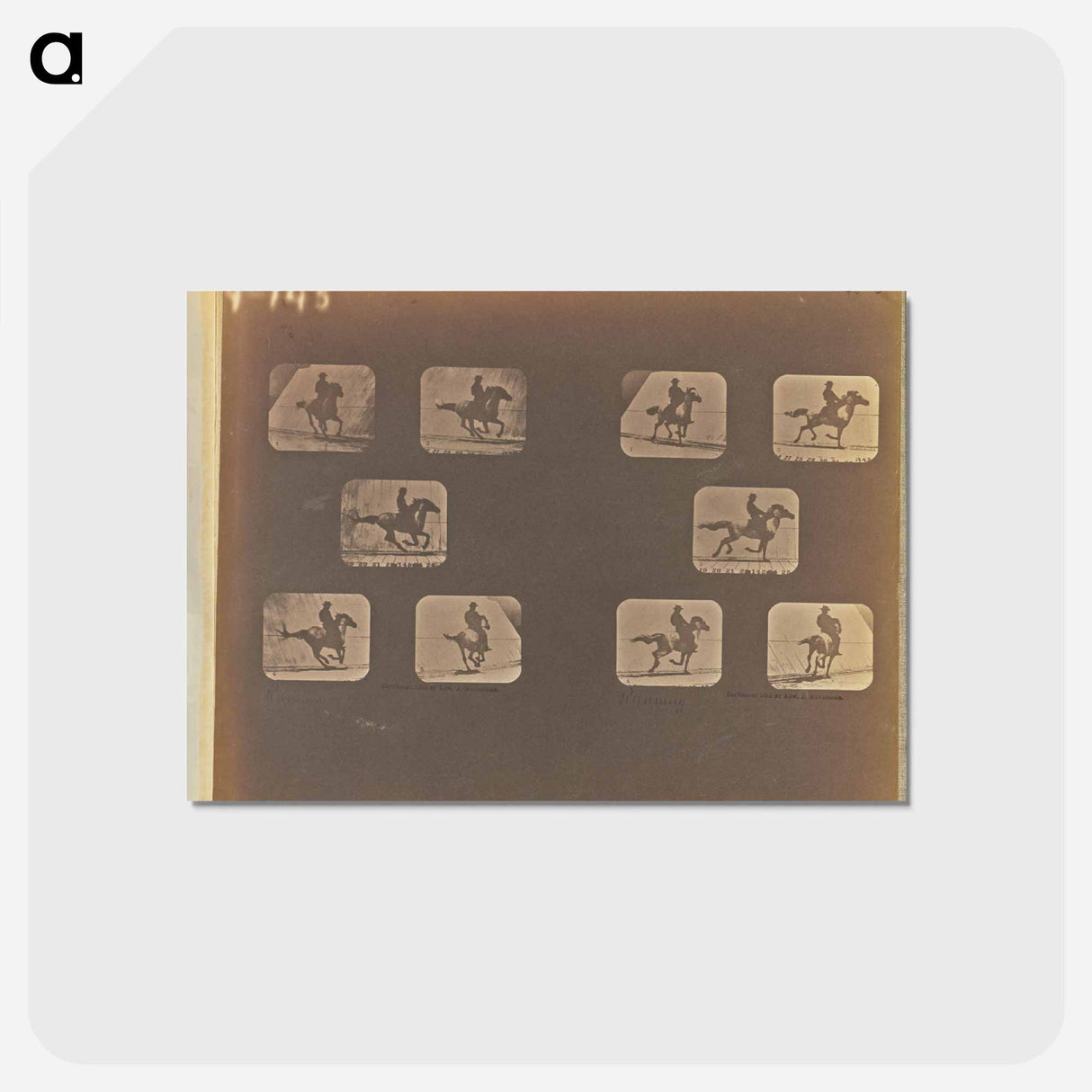 アートポストカード-Running
 - エドワード マイブリッジ Postcard.