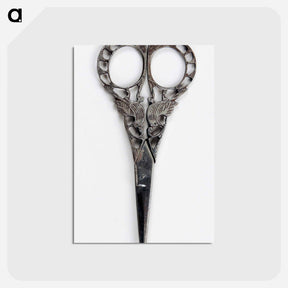 アートポストカード-Scissors
 - バーンズ・コレクション Postcard.