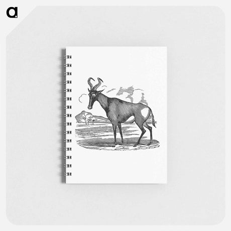アートメモ帳-Hartebeest from Adventures in the far interior of South Africa
 - 大英図書館 Memo.