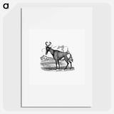 アートポスター-Hartebeest from Adventures in the far interior of South Africa
 - 大英図書館 Poster.
