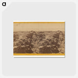 アートポストカード-The Lava Beds
 - エドワード マイブリッジ Postcard.