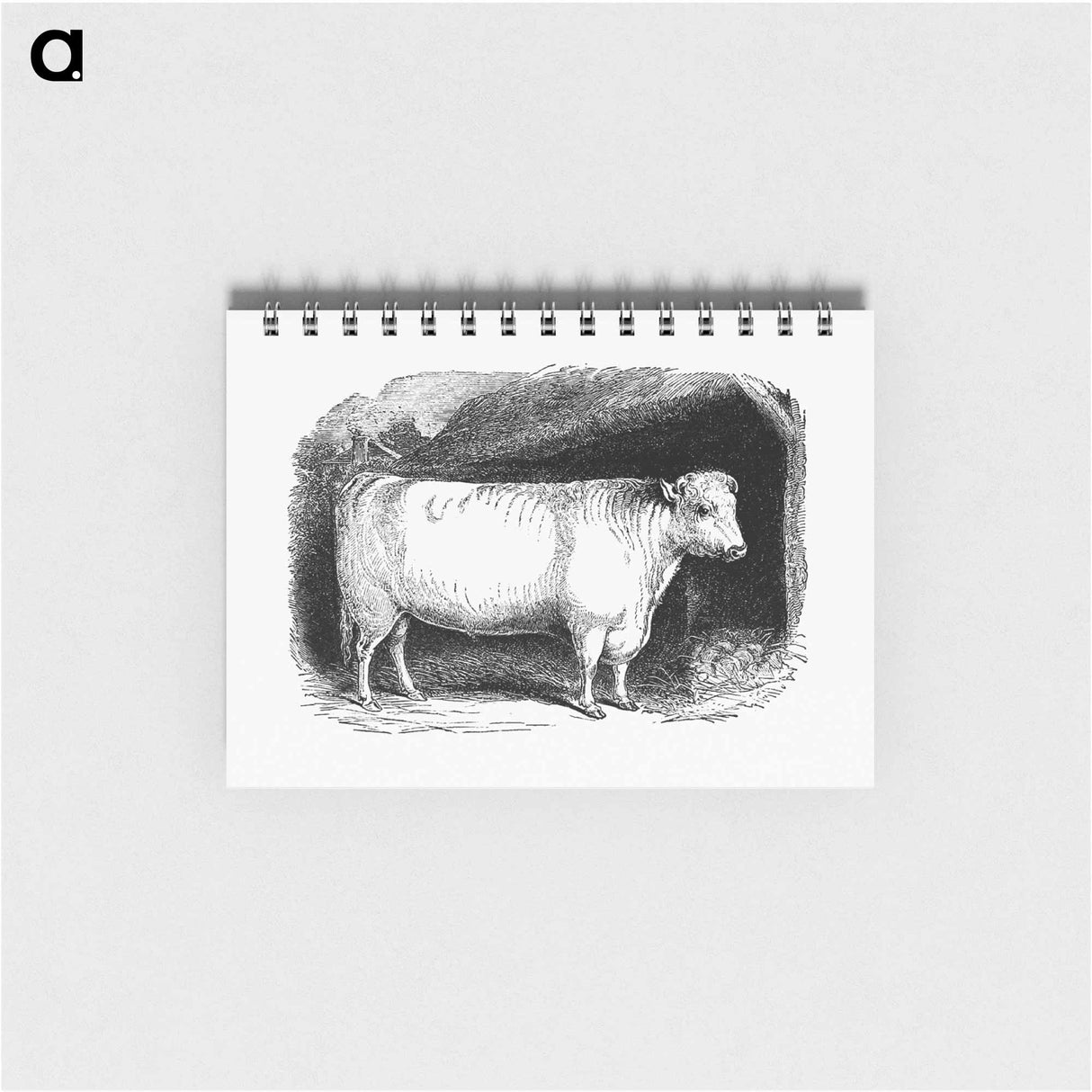 アートメモ帳-Shorthorn Bull
 - 大英図書館 Memo.