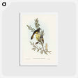 アートポストカード-New Holland Honey-eater
 - ジョン グールド Postcard.