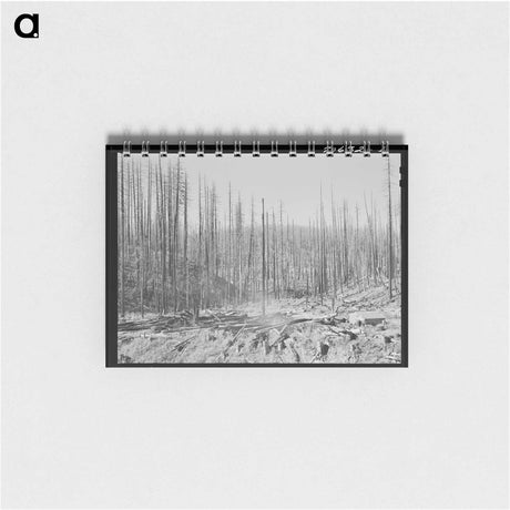 アートメモ帳-Oklahoma Cotton Field
 - ラッセル リー Memo.