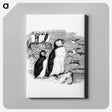 アートパネル-Victorian Penguins Engraving
 - 大英図書館 Canvas.