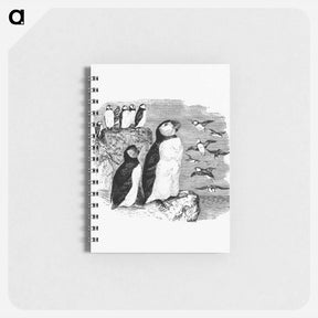 アートメモ帳-Victorian Penguins Engraving
 - 大英図書館 Memo.