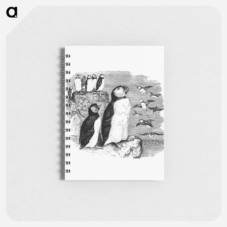アートメモ帳-Victorian Penguins Engraving
 - 大英図書館 Memo.
